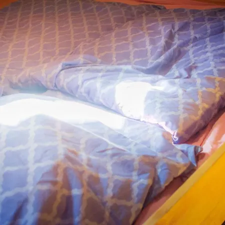 Bauernhof Lisa Offenstall Und Taubenschlag Wienrode