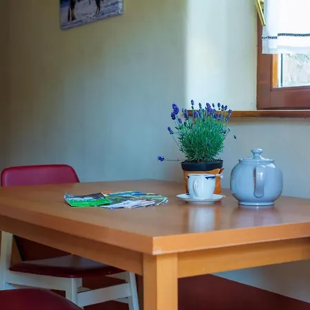 Apartment Bauernhof Lisa Offenstall Und Taubenschlag