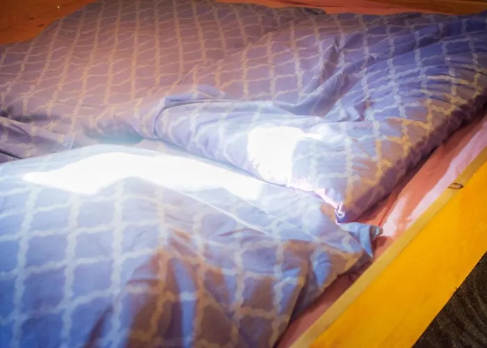 Bauernhof Lisa Offenstall Und Taubenschlag Wienrode