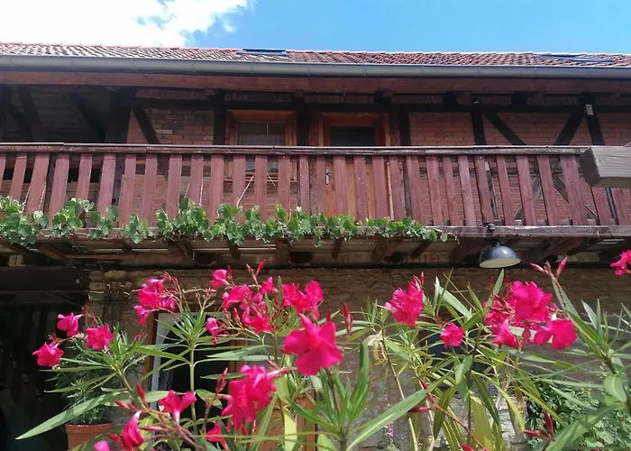 Bauernhof Lisa Offenstall Und Taubenschlag 公寓